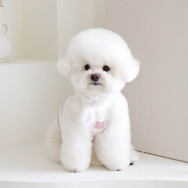 쉬오트 아우라 크롭 탑 강아지 고양이 여름 티츠 (3color), 1개, 핑크