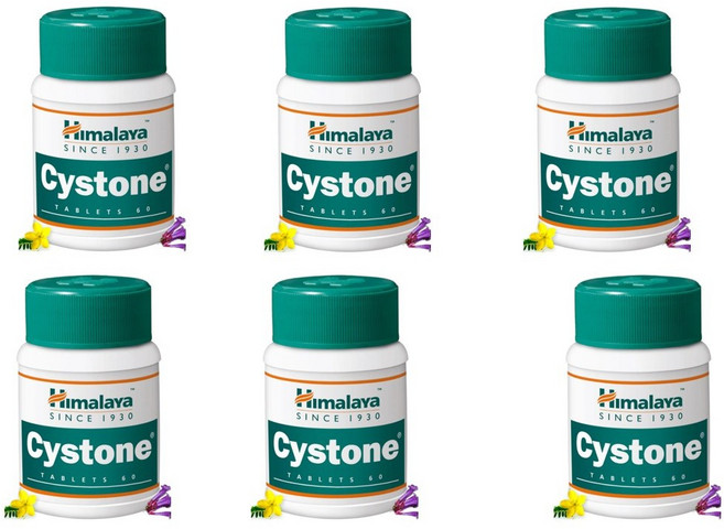 히말라야 사이스톤 Cystone 60정 X 6세트 신장결석 요로결석, 6개