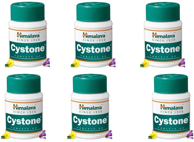 히말라야 사이스톤 Cystone 60정 X 6세트 신장결석 요로결석, 6개 - 쿠팡