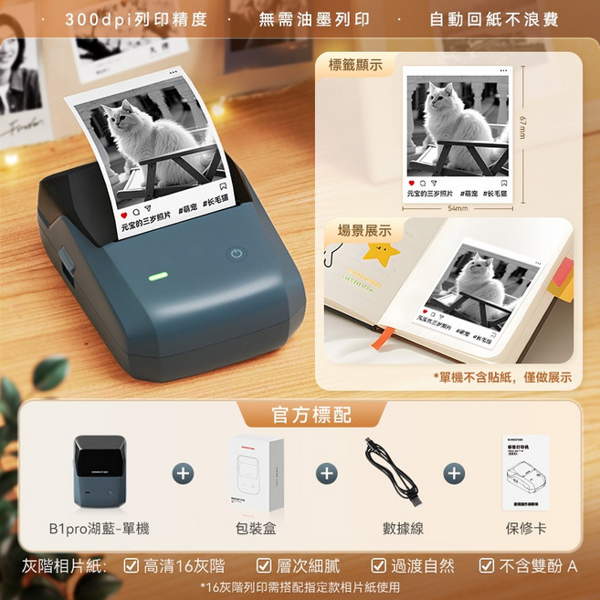 精臣 B1Pro 高清照片打印機 300dpi 藍牙便攜標籤機, B1Pro-湖藍灰 (無貼紙)高清版