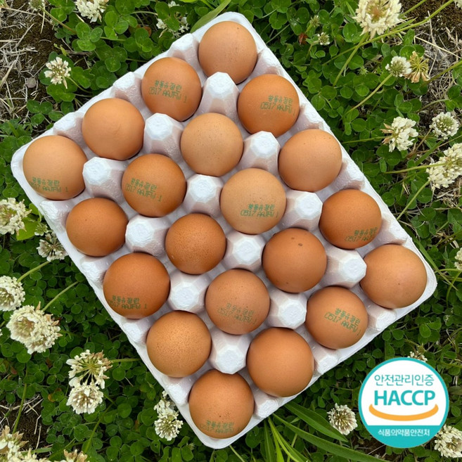 신선함이 살아있는 수리네 샛노란 노란자 닭알, 20구, 1개