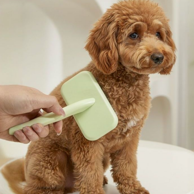 홈온리 강아지 빗브러쉬 엉킨털제거, 1개, 소형