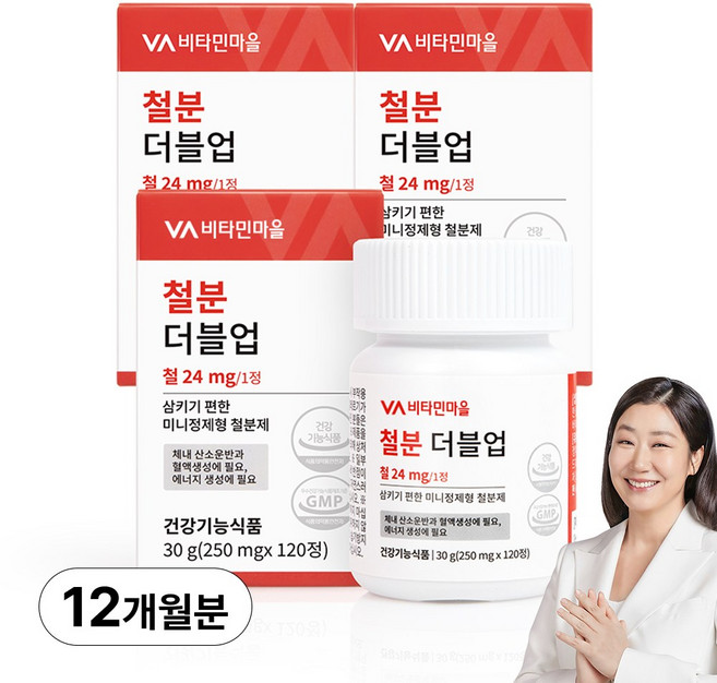 비타민마을 철분 더블업 미니 정제형 철분제, 120정, 3개