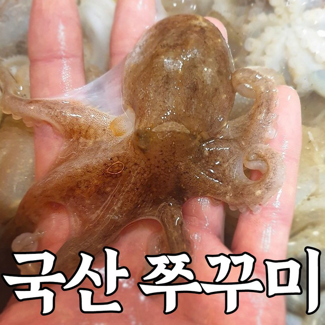 [급냉] 냉동 국산 주꾸미 쭈꾸미, 1개, 1kg