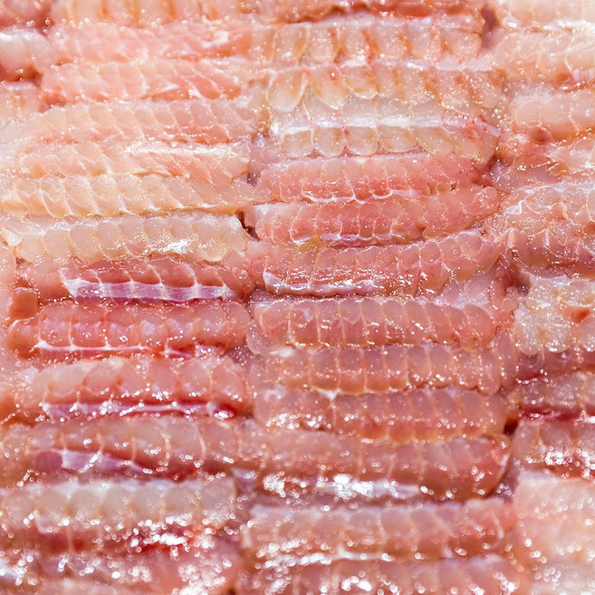 국내산 목포 & 흑산도 홍어 홍어애 증정, 1세트, 흑산도 중간숙성 2kg + 홍어애 + 초장