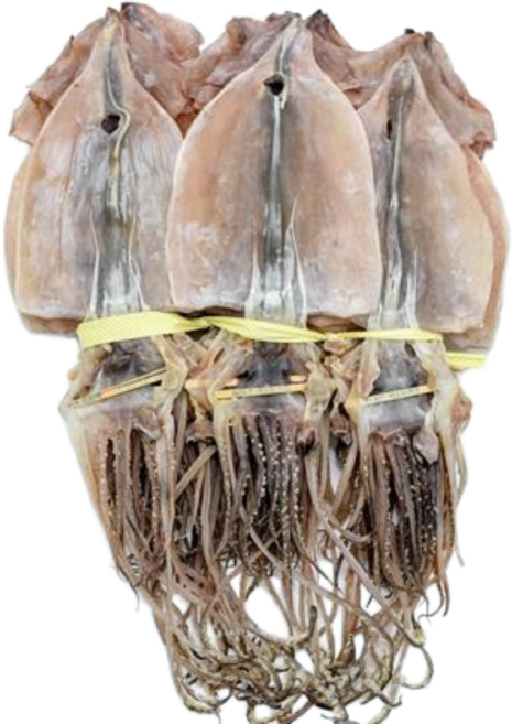 산미담 마른 오징어 국산 당일바리 원양산 건어물 10미 20미, 1개, 5미(380g)