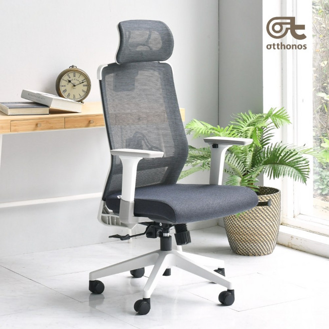 오토노스 친환경 메쉬 책상의자 사무용 컴퓨터 의자 C350N A 타입, 카민레드