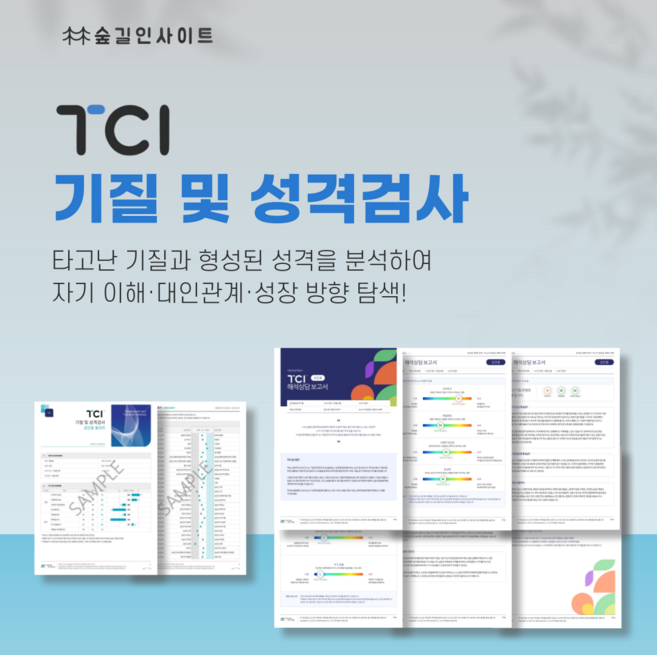 TCI 기질 및 성격 온라인 검사 (2P 결과지 + 6P 해석상담보고서 포함), 고등학생
