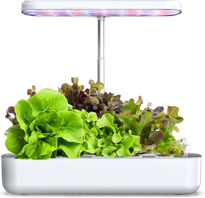 이지식물 가정용 LED 식물재배기 홈가드닝 스마트 팜, 3구, 1개