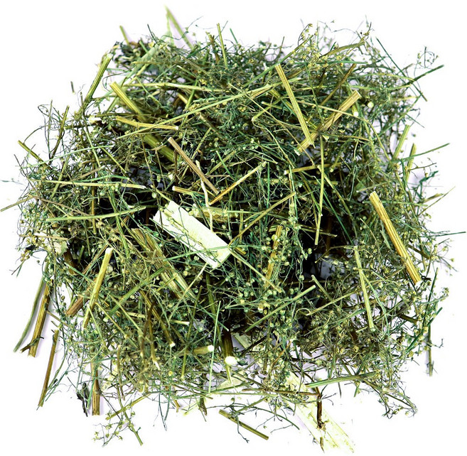 자연닮음 국산 개똥쑥 300g, 1개