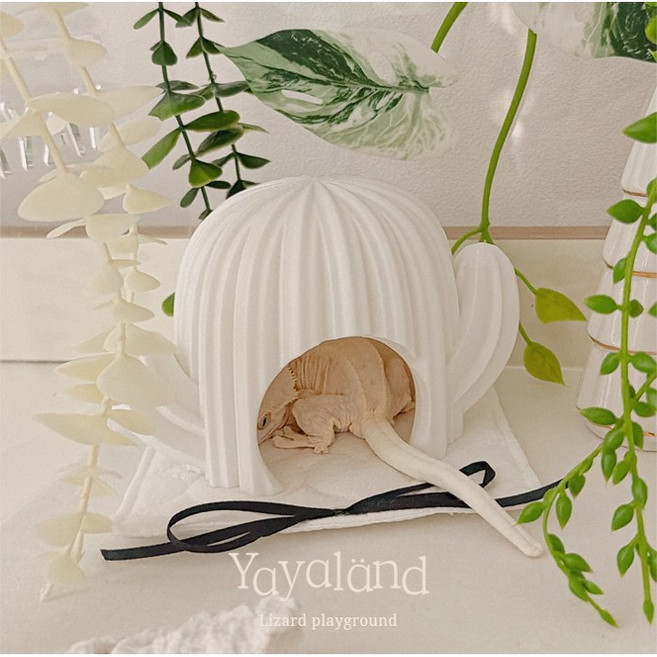 야야랜드 선인장 은신처, 1개, 소