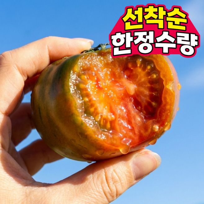 [특급세일] 고당도 부산 짭짤이 대저토마토, 1개, 2.5kg (2L-L)