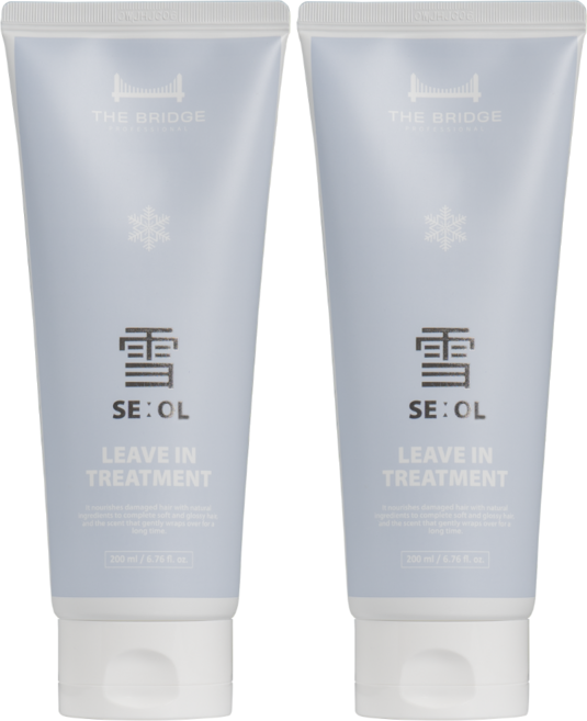 더브릿지프로페셔널 설크림 리브인 트리트먼트 200mL 2개