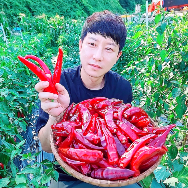 고추 건고추 햇고추 25년 영주 봉화 국산, 1개, 세척건고추(꼭지제거/보통맛)+600g