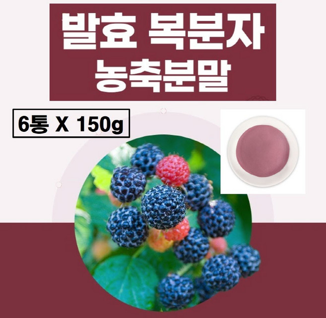 고창 복분자분말 국산 가루 식약청 haccp 인증 국내산 발효 농축 농축액 파우더 고창산 판매 먹는법 식약처 해썹, 6개, 150g