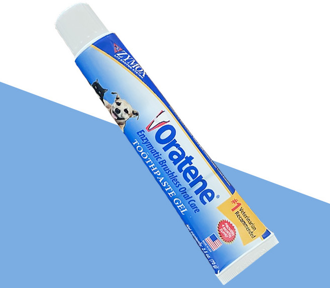 자이목스 오라틴 투스페이스트 반려동물 젤, 70g, 1개