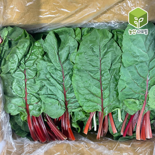 적근대 2kg 2박스 묶음, 1개