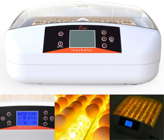 엘제이 병아리 자동 부화기 인큐베이터 스마트 입체 전란 검란 계란 알 달걀 닭 오리 메츄리, 42란 원터치검란, 1개, 42란 원터치검란