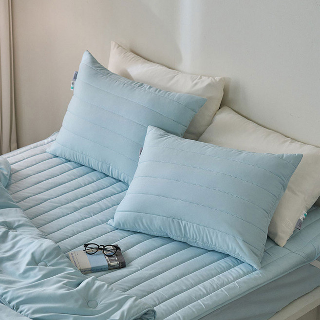 에메르 알러제로 다운필 슬로안 누빔 베개커버 2개세트