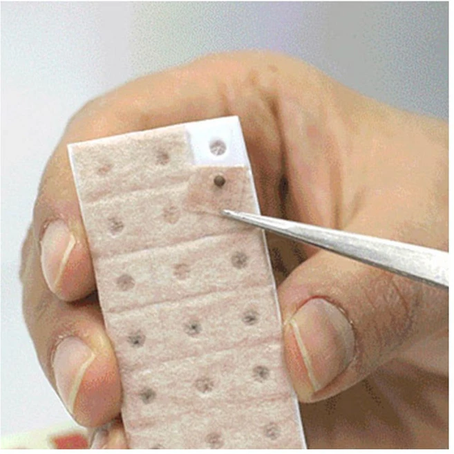 동명건강 활석120알+전용핀셋 이침패치 쎄라믹볼 _ 2023895EA han*1268BK - 쿠팡