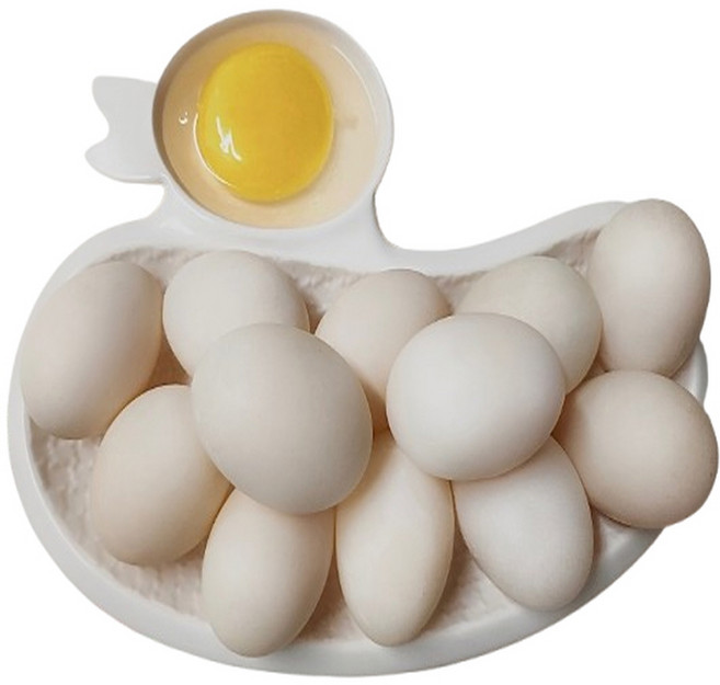 [특허청 상표등록] 과일먹인 건강한 기러기알 유정란 당일산란 원기회복 면역력 강화 항생제zero 아침애기러기 보양란15구, 15구, 1개
