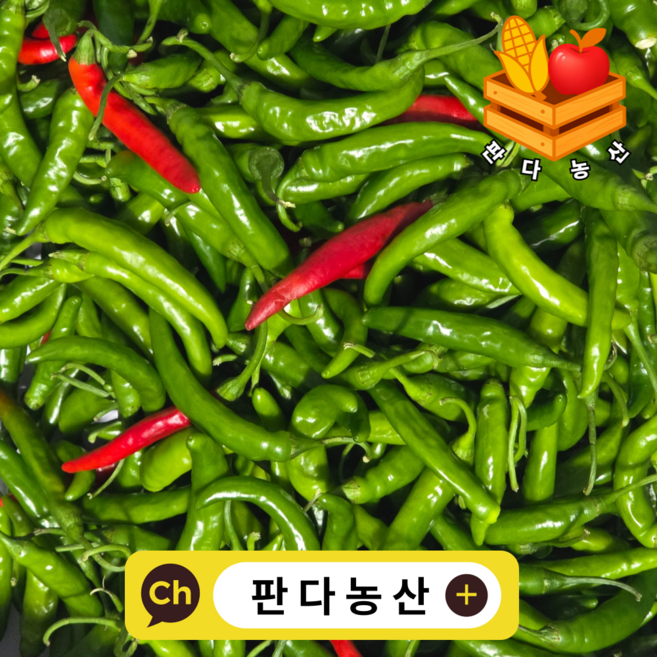 청양고추 못난이 상등급 국내산 고추 식자재 대량 도매, 1개, 5kg(상등급)