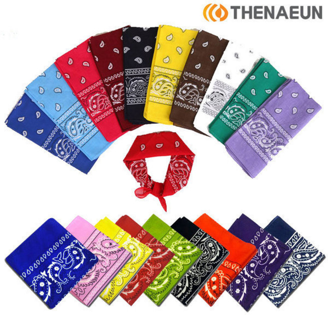 더나은 페이즐리 반다나