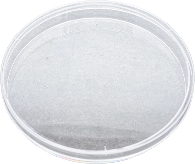 90mm 샬레 페트리디시 크레스티드게코 암수구분 루페 보조용