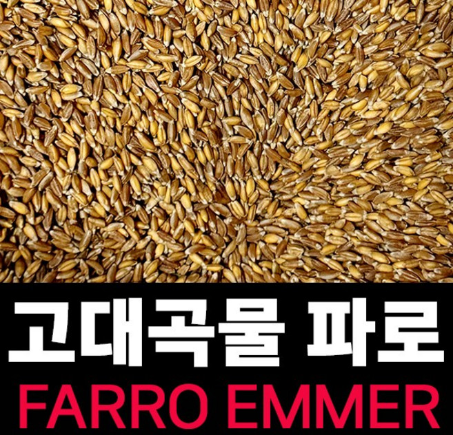 최신거로 드세요 FARRO 파로 (엠머 밀) 고대곡물, 1개, 1kg