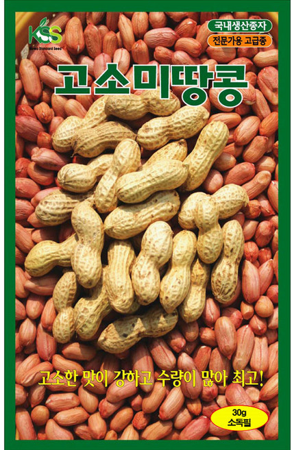 영농사 고소미 땅콩 씨앗 30g 수확량 많은 땅콩씨, 10개