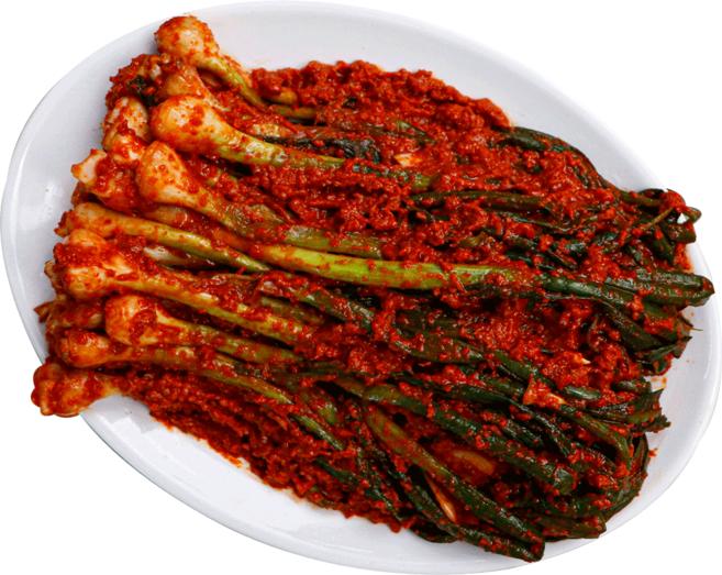 맵따구 불김치 매운 양념 실비 파김치 1kg 파불김치 더 매운맛, 파 불김치 1kg (더 매운맛), 1개