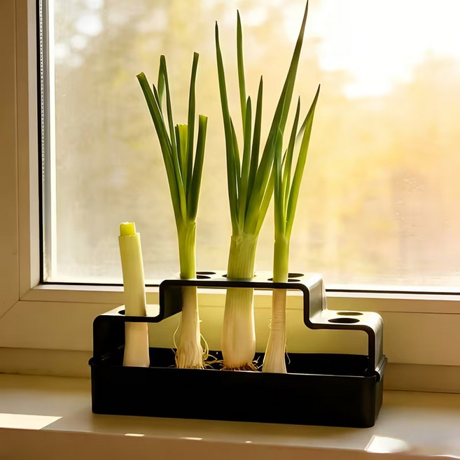 대파 재배기 수경재배 키트 물재배 파키우기 자동 급수 화분 실내 텃밭, 15.5*6*7.5cm, 파 재생기[블랙]