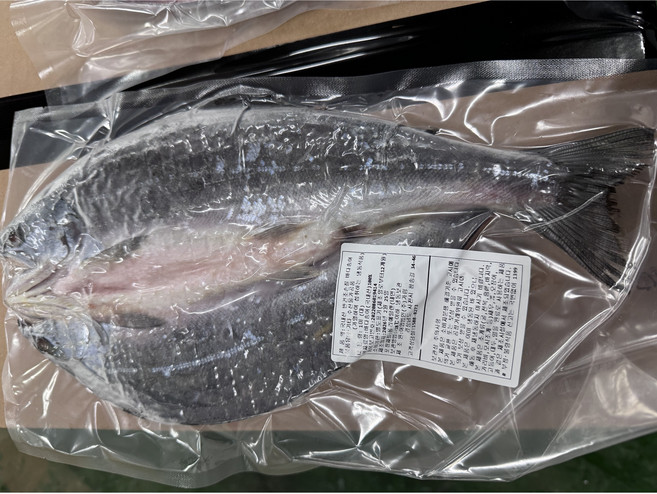(한정할인행사)청정바다 프리미엄 반건조 바다송어 5마리(마리당330g내외) 대용량 특별행사, 1세트, 5마리 1k700g