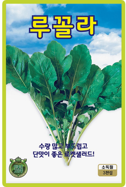 산들마켓 루꼴라 씨앗 3000립 수량 많고 부드럽고 단맛이 좋은 로켓샐러드 고급 품종 종자, 1개