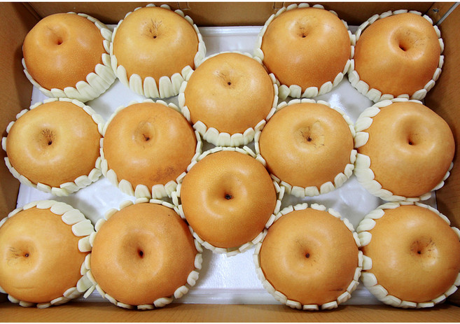 소담촌 나주배 7.5kg(가정용), 7.5kg(13~15과)가정용, 1개