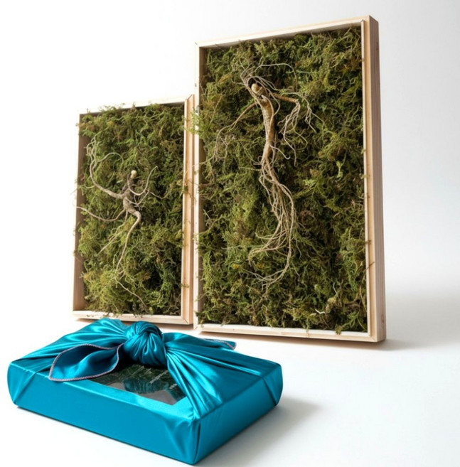 정품 산양삼 10년근 무료선물포장 만항재산삼, 6g, 10개