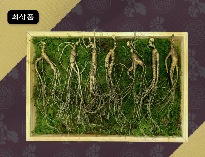 일일산삼 10년근 산삼 파지삼 10뿌리 산양삼 장뇌삼 선물세트, 7개, 10g