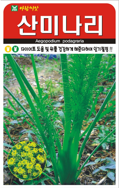 아람종묘 산미나리 씨앗, 3개