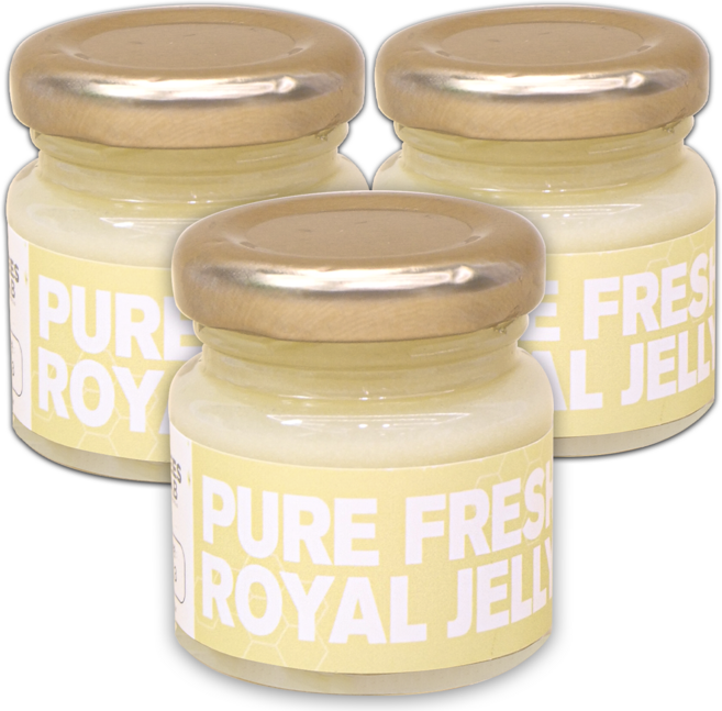 비즈랩 생로열젤리 천연 로열제리 생로얄제리 50g, 3개