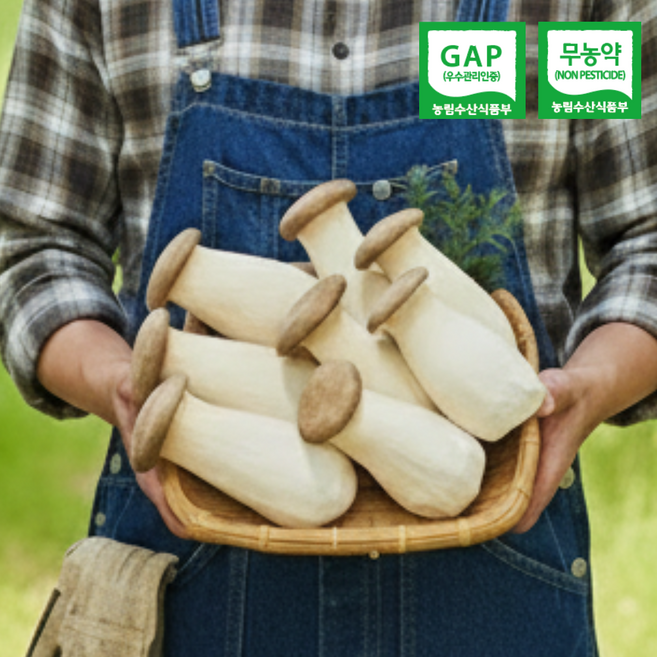 [GAP인증/무농약]그린피스농장 친환경 손질 새송이버섯(농장 직배송), 1박스, 상 4kg