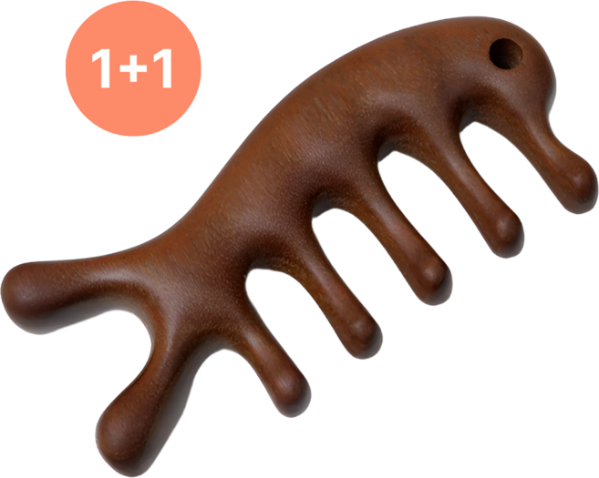 [1+1]몽글픽 얼굴 두피 바디 마사지 원목 괄사, 2개, 우드색