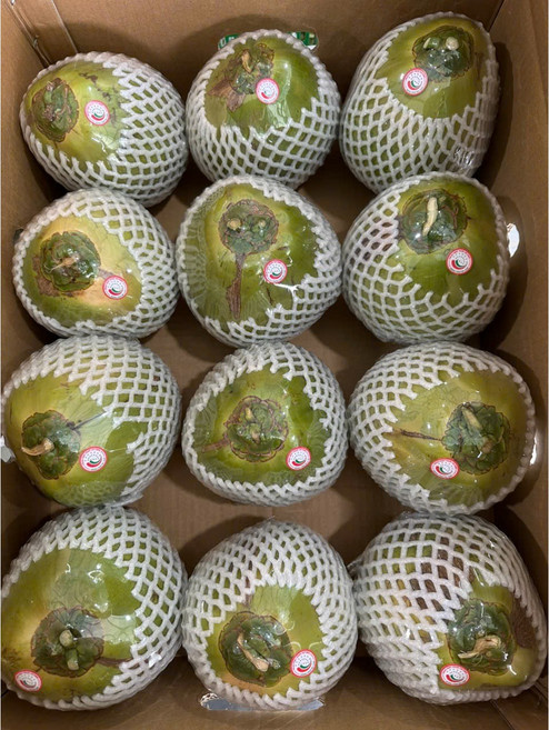 생 코코넛, 1개, 1.3kg 내외