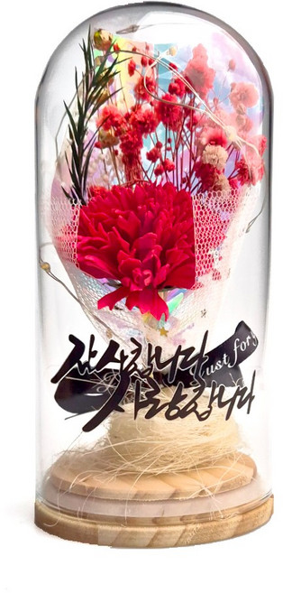 어버이날 카네이션 LED 꽃다발 무드등 유리돔, 1개, 레드 카네이션