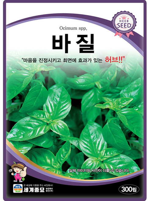 세계종묘 바질 씨앗 300립 바실 바질씨 허브 종자, 4개