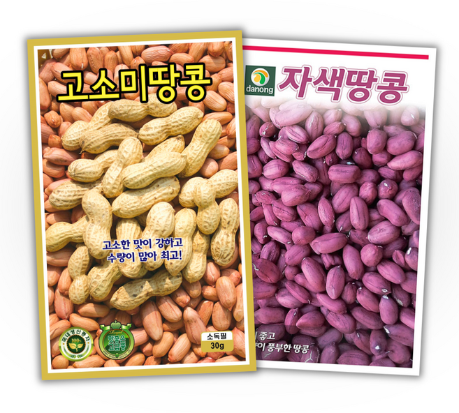 주주씨앗 땅콩 씨앗 2종세트 땅콩씨 종자 자색땅콩 씨앗 몰 채소씨앗 봄 파종 작물 콩씨앗, 1개