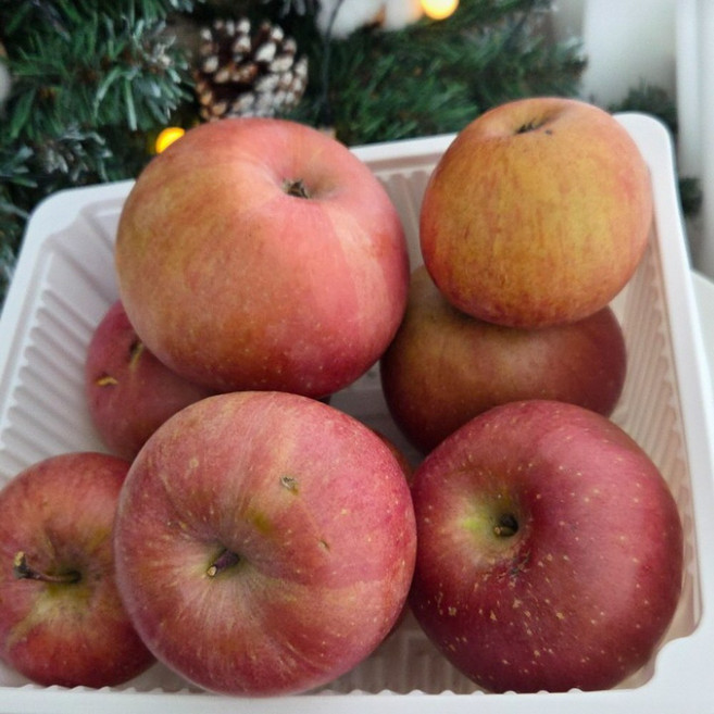 경북 사과 아삭달콤 부사사과 가정용 2kg, 1박스, 2kg (소과)