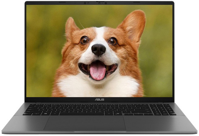 에이수스 비보북 S 16 스냅드래곤 X, 매트 그레이, 512GB, 16GB, WIN11 Home, S3607QA-PL009W