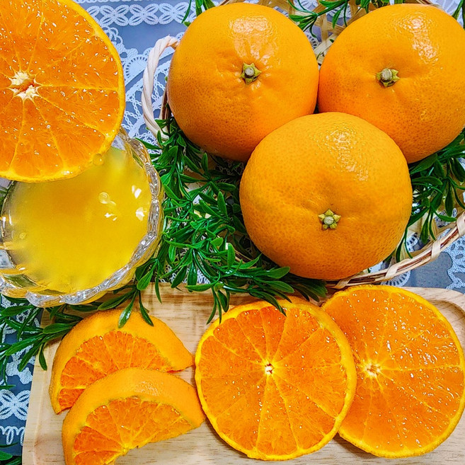 [맛없음반품] 새콤달콤 천혜향 산지직송 선물용 가정용, 가정용포장, 천혜향 소과 5kg(32과 이상), 1박스