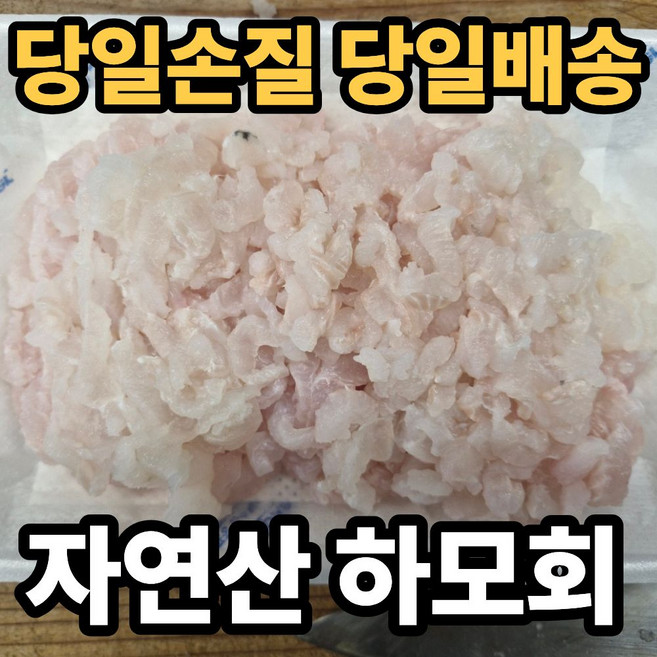 [국내산] 갯장어회 하모회 국거리용 탕용 갯장어, 1세트, 갯장어회 600g