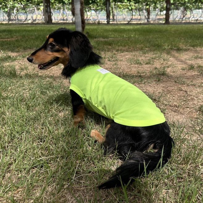 도기스타 닥스훈트옷 민소매 반려견 쿨나시, 형광노랑, 1개